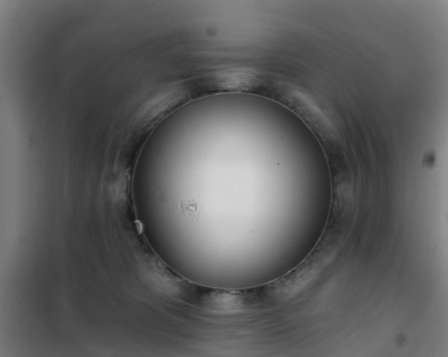 X0000102020325200807251338