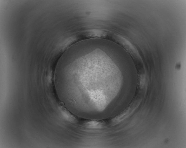X0000102020326200807251338