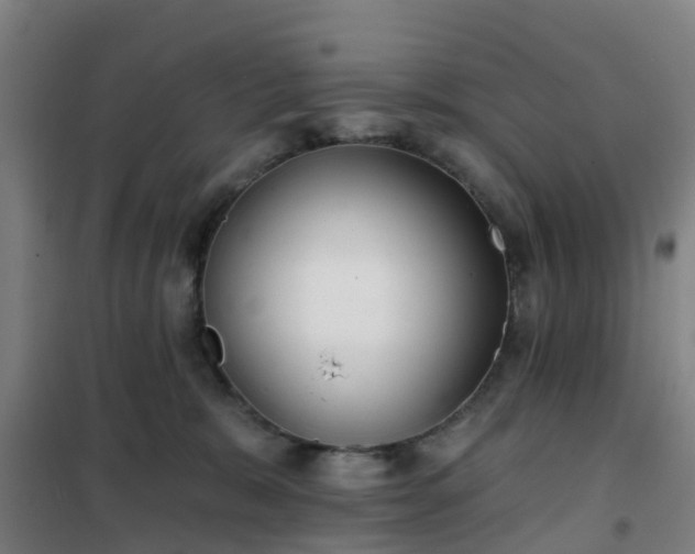 X0000102020327200807251338