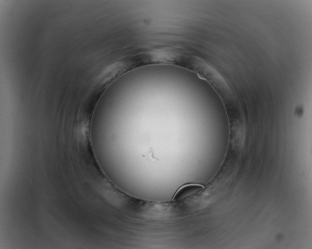 X0000102020329200807251338