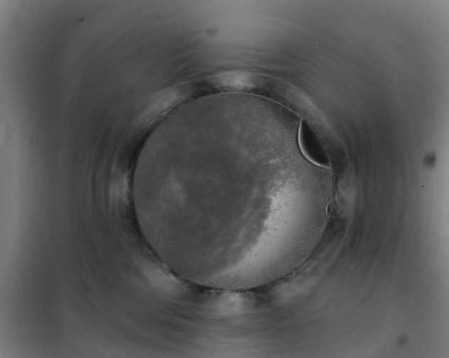 X0000102020330200807251338