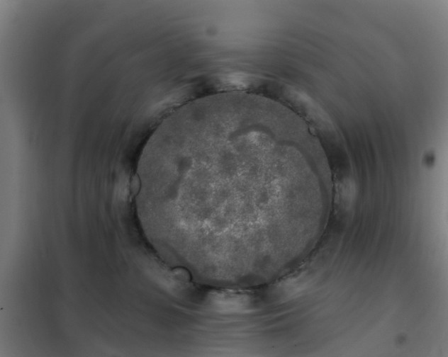 X0000102020331200807251337