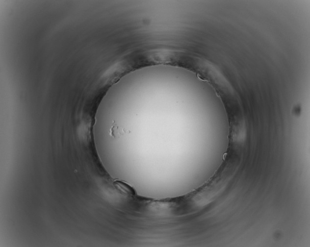 X0000102020332200807251337