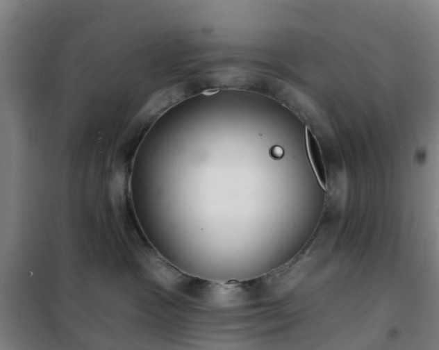 X0000102020333200807251337