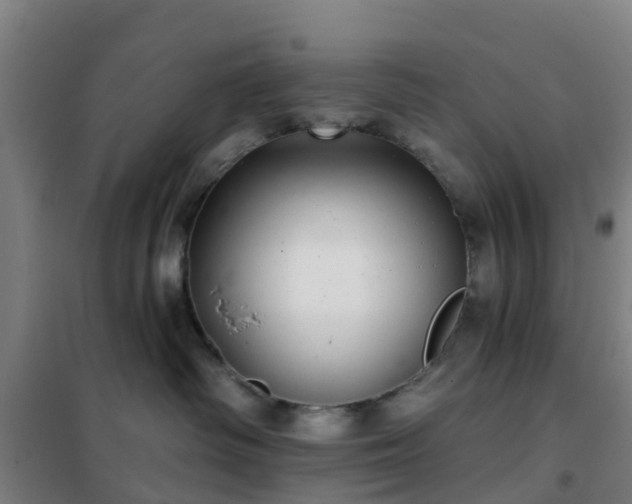 X0000102020334200807251337