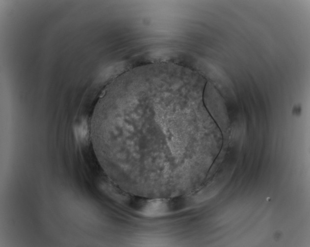 X0000102020335200807251337