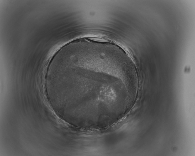 X0000102020337200807251337