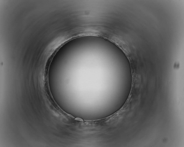 X0000102020338200807251337