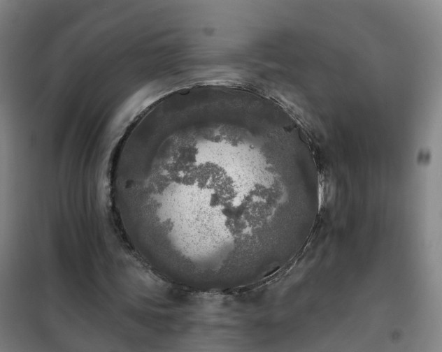 X0000102020339200807251337