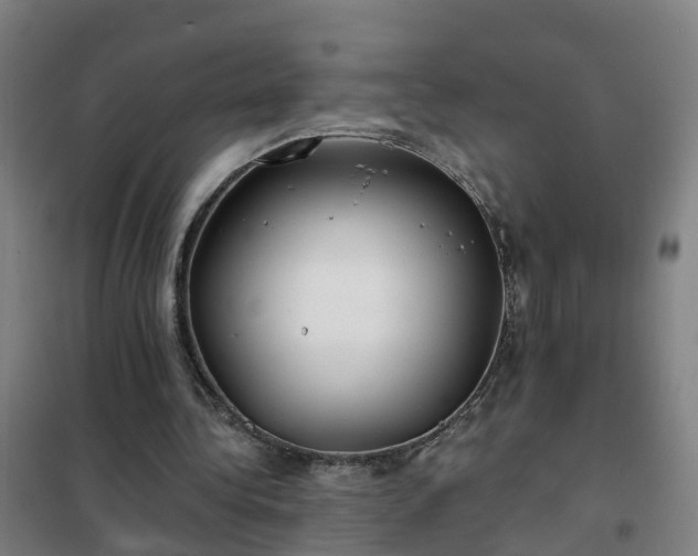 X0000102020340200807251337