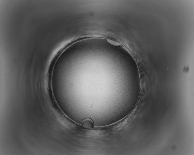 X0000102020342200807251337