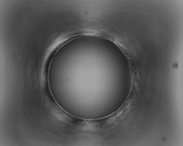 X0000102020343200807251337