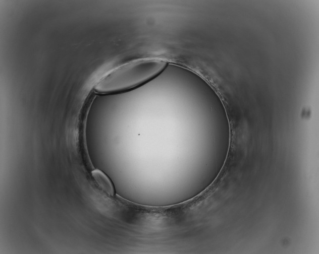 X0000102020344200807251337