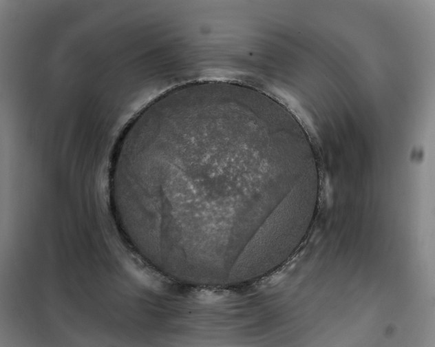 X0000102020346200807251337