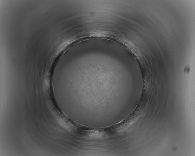 X0000102020347200807251337