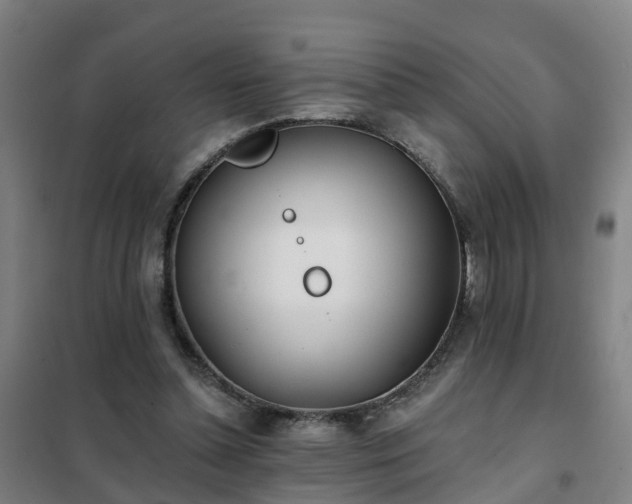 X0000102020348200807251337
