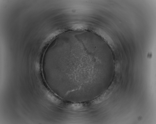X0000102020353200807251337