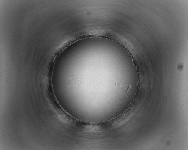 X0000102020354200807251337