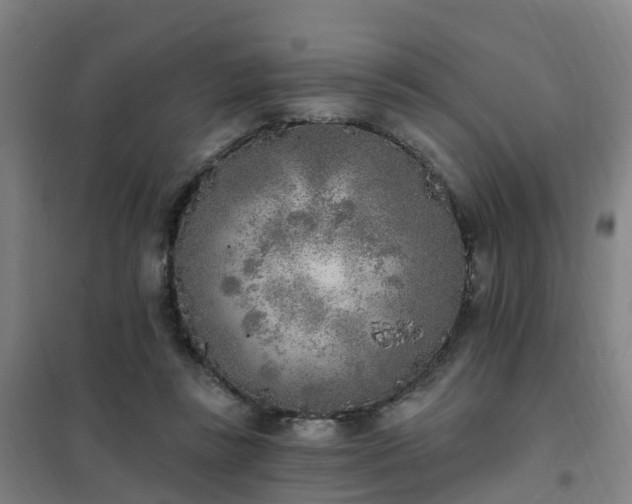 X0000102020355200807251337