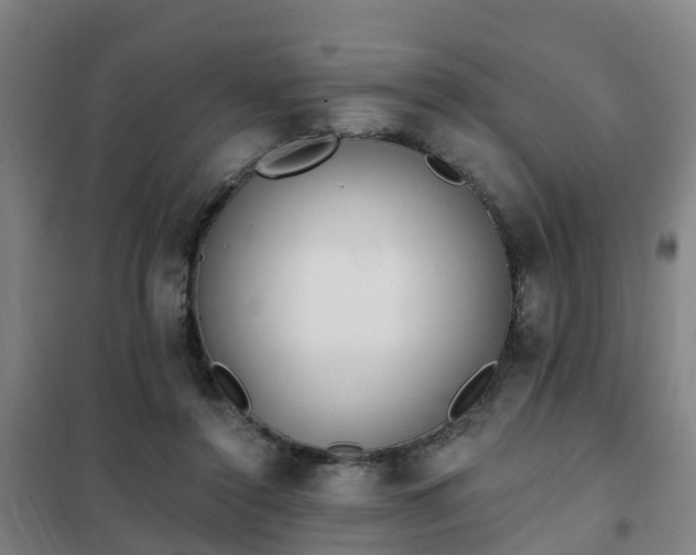 X0000102020356200807251337