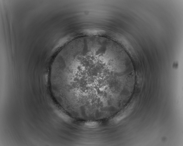 X0000102020357200807251337
