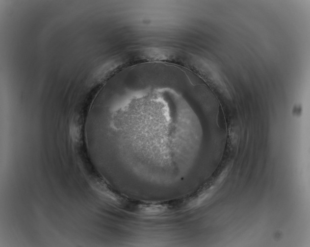X0000102020359200807251337