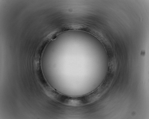X0000102020360200807251337