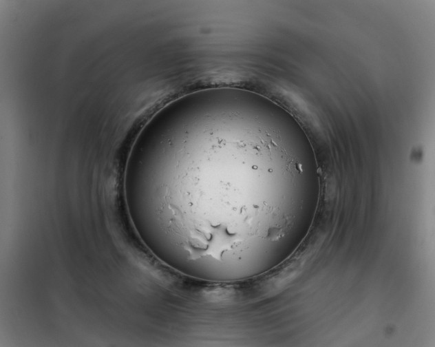 X0000102020362200807251337