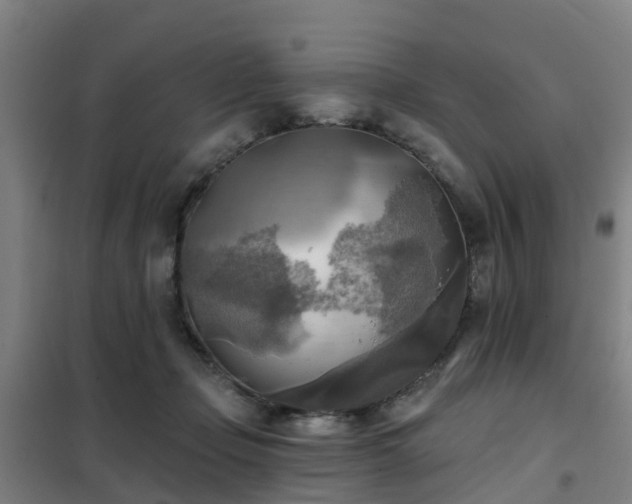 X0000102020365200807251337