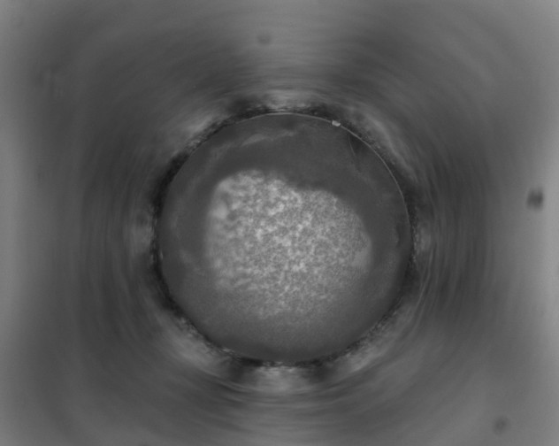 X0000102020367200807251337