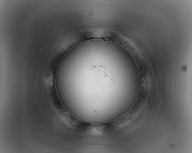 X0000102020368200807251337