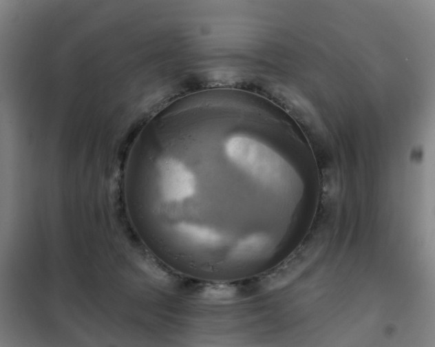 X0000102020369200807251337