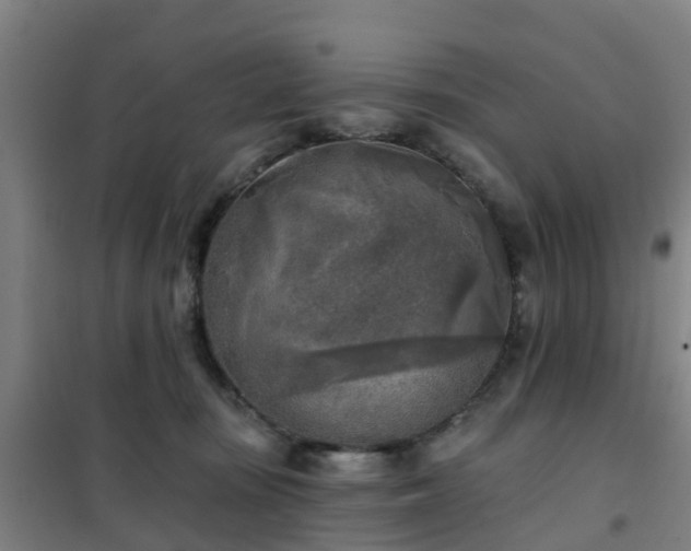 X0000102020371200807251337