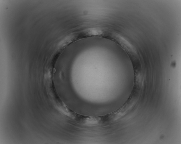 X0000102020373200807251337