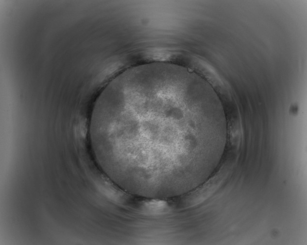 X0000102020374200807251337