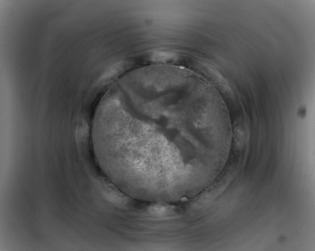 X0000102020375200807251337