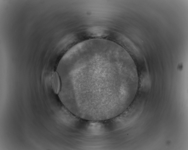 X0000102020376200807251337