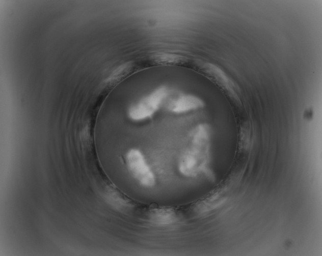 X0000102020377200807251337