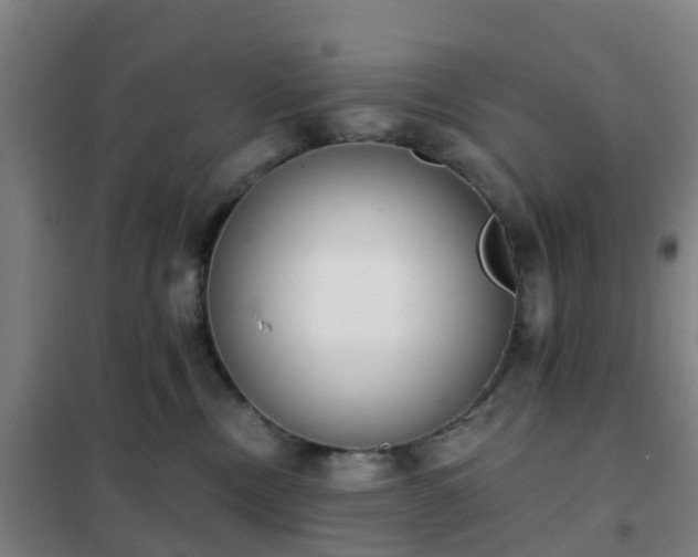 X0000102020378200807251337