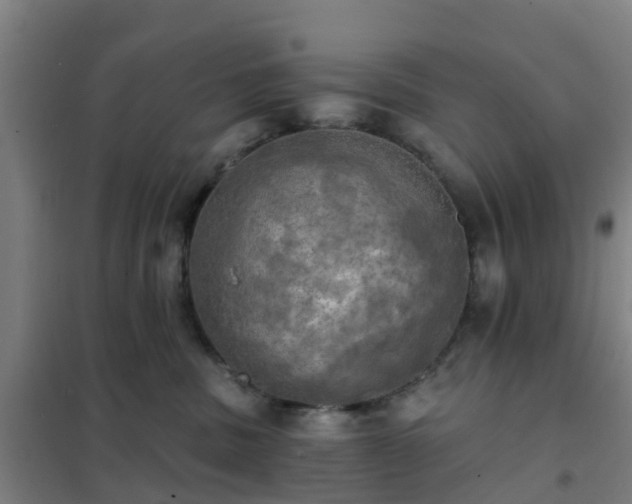 X0000102020379200807251337