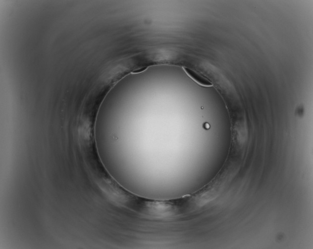 X0000102020380200807251337