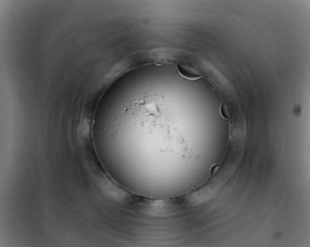 X0000102020382200807251337