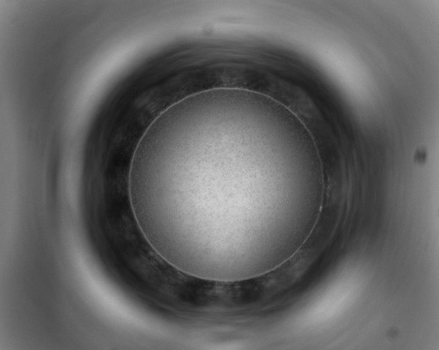 X0000102020383200807251337