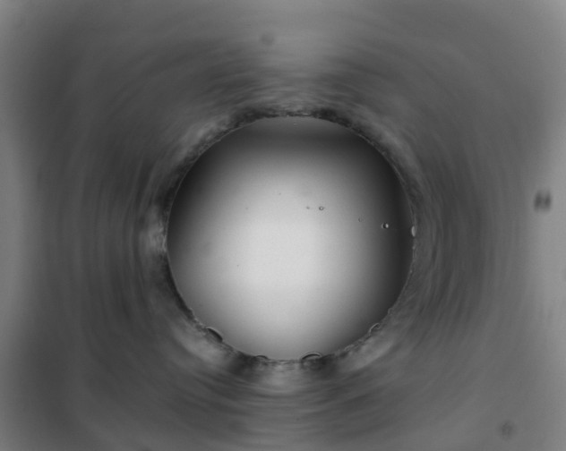 X0000102020384200807251337