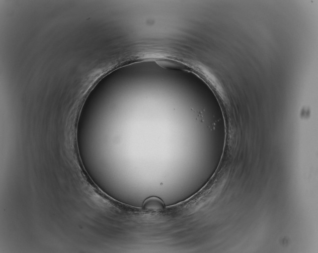 X0000102020385200807251337