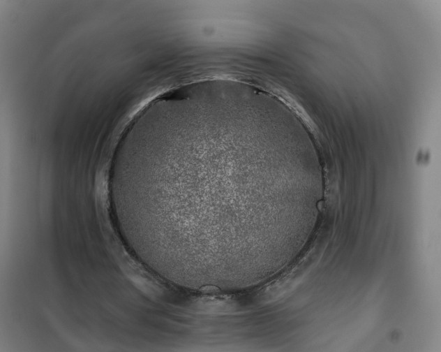 X0000102020386200807251337