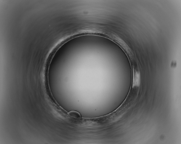 X0000102020387200807251336