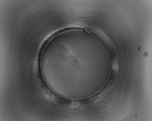 X0000102020388200807251336