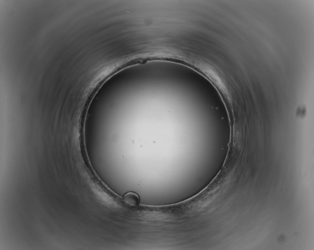 X0000102020389200807251336
