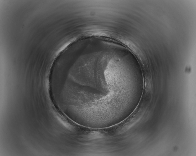 X0000102020390200807251336